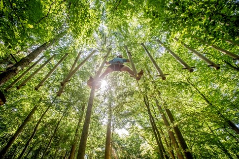 Der Kletterpark Camp Adventure