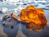 Bernstein und Muscheln am Strand von Vejers