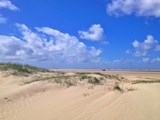 Sandstrand und Dünen auf Römö