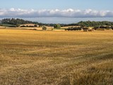 Natur auf Langeland