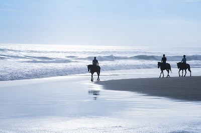 Reiter am Meer im Gegenlicht