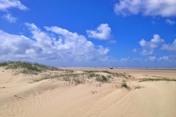 Sandstrand und Dünen auf Römö