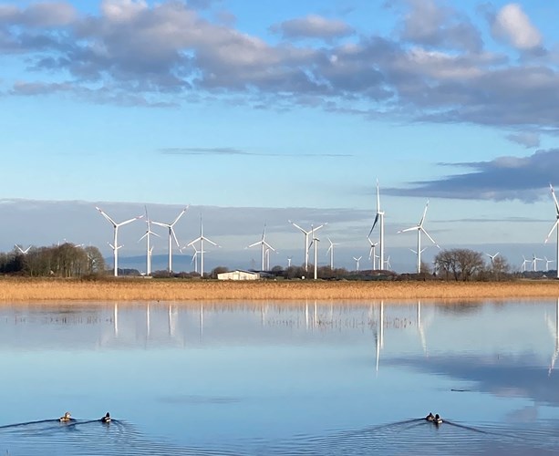 Natur in der Nähe von Aventoft, Südtondern