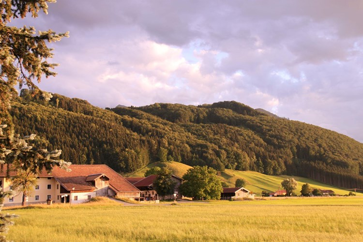 Ferienhaus Bergen in Chiemgau 512-2843383