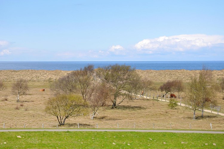 Ferienhaus Weißenhäuser Strand 521-DOS031015-CYC