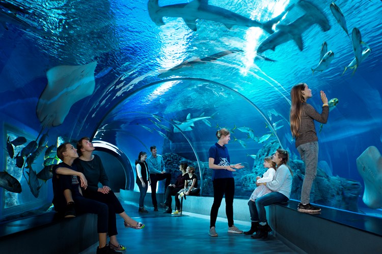 Den Bla Planet Nationales Aquarium Danemark Wahlen Sie Unter 1 8 Ferienhausern Feline Holidays