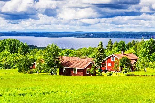 Rote Häuser in der schwedischen Landschaft 
