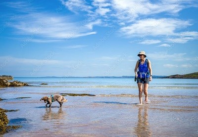 Hund im Wasser