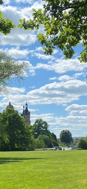 Marstall Wiese mit Schloss im Hintergrund