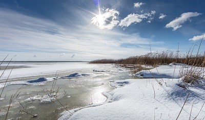 Strand mit Seegras im Schnee und strahlend blauem Himmel