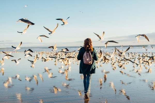 Winterliche See mit Möven und einer einsamen Spaziergängerin