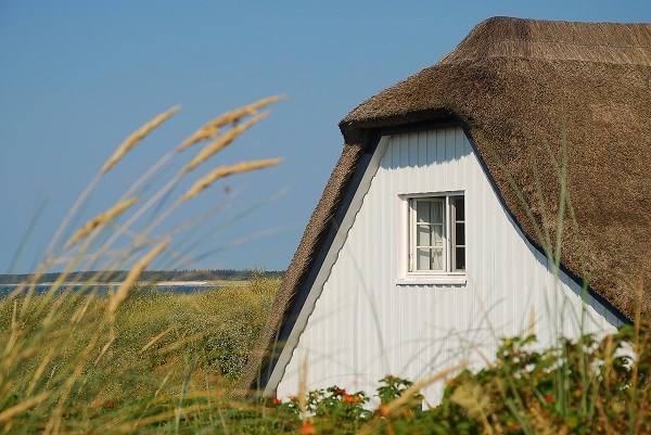 Ferienhaus mit Reetdach vor blauem Meer in den Dünen