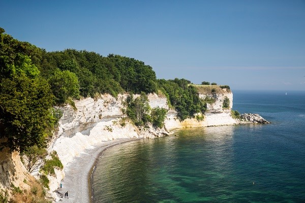 Die Steilküste Stevns Klint