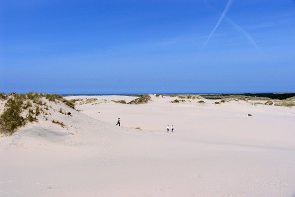 Drei Personen auf der Wanderdüne Råbjerg Mile in Nordjütland