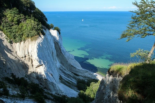 Die Steilküste Møns Klint