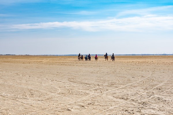 Reiter am Strand von Römö, Dänemark