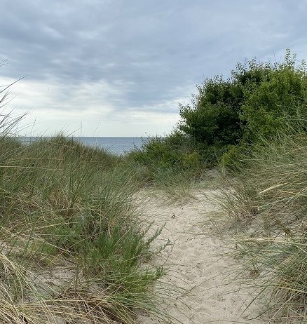 Strandweg zwischen grün bewachsenen Dünen