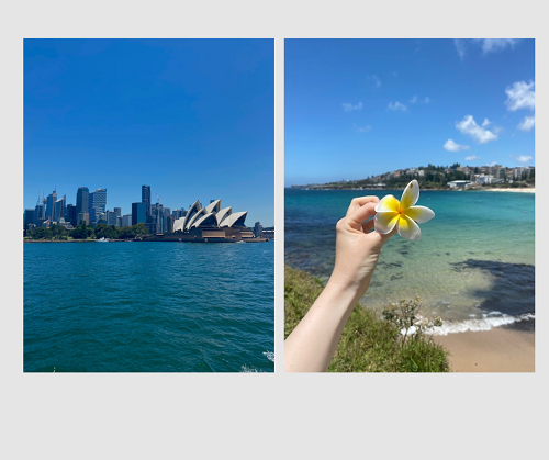 Sydney und Coogee Strand