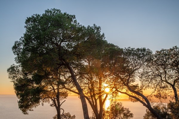 Sonnenuntergang über Nizza und dem Meer vom Mont Boron