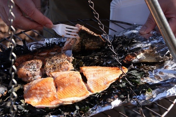  Meerforelle auf Blasentang grillen