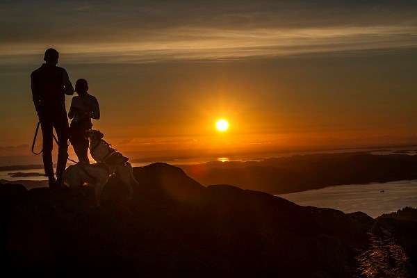 Ein Paar mit zwei Golden Retrievern genießt die Mitternachtssonne auf einem Berg