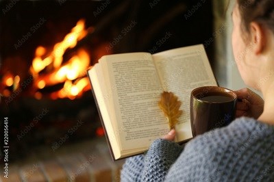 Buch lesen vor dem Kamin